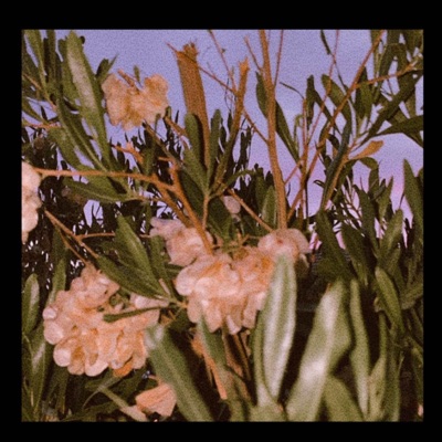 early morning in the meadow (feat. Greasy Daddy) - Single