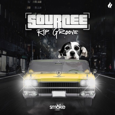 Rip Groove - Single