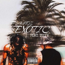 EXOTIC (feat. Tizzy) 3aundz