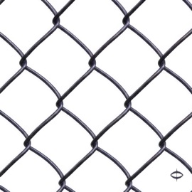 Catchy Soul (feat. Pale Moon Groove) see