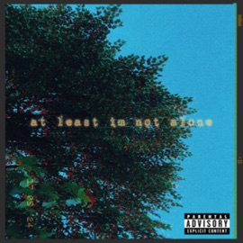 Perdón (feat. Brndn, Sumo & Elifrmbx) JustinPunpun