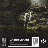 Green Leaves - Single - Kupla