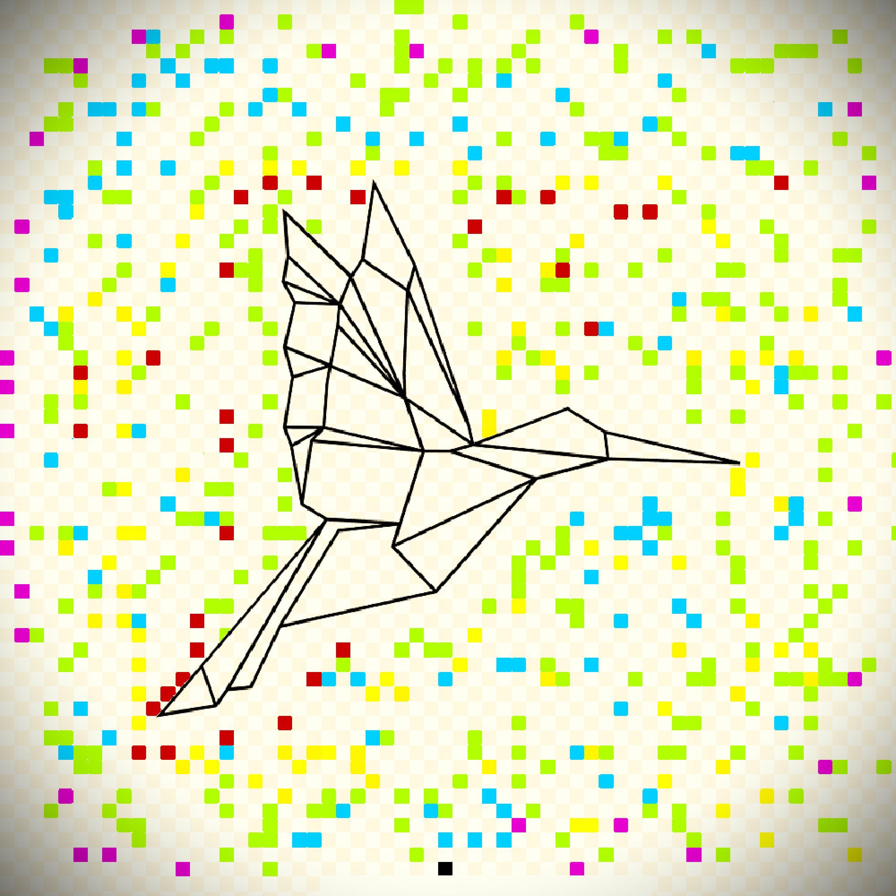 Voa beija flor - Single