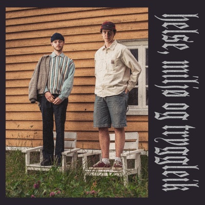 Helse, Miljø Og Tryggleik