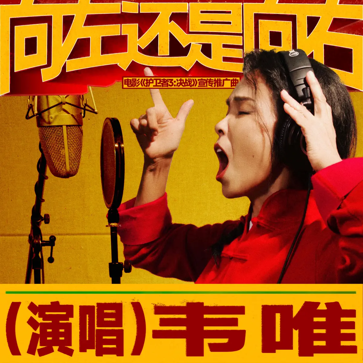 韦唯 - 向左还是向右(电影《护卫者3:决战》宣传推广曲) - Single (2025) [iTunes Plus AAC M4A]-新房子