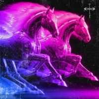 CAVALLI DI RAZZA (feat. yng prodigy) - Single - ZEN