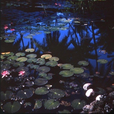 Midnight Special - EP