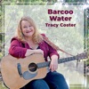 Barcoo Water