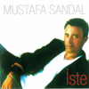 Mustafa Sandal - İsyankar artwork