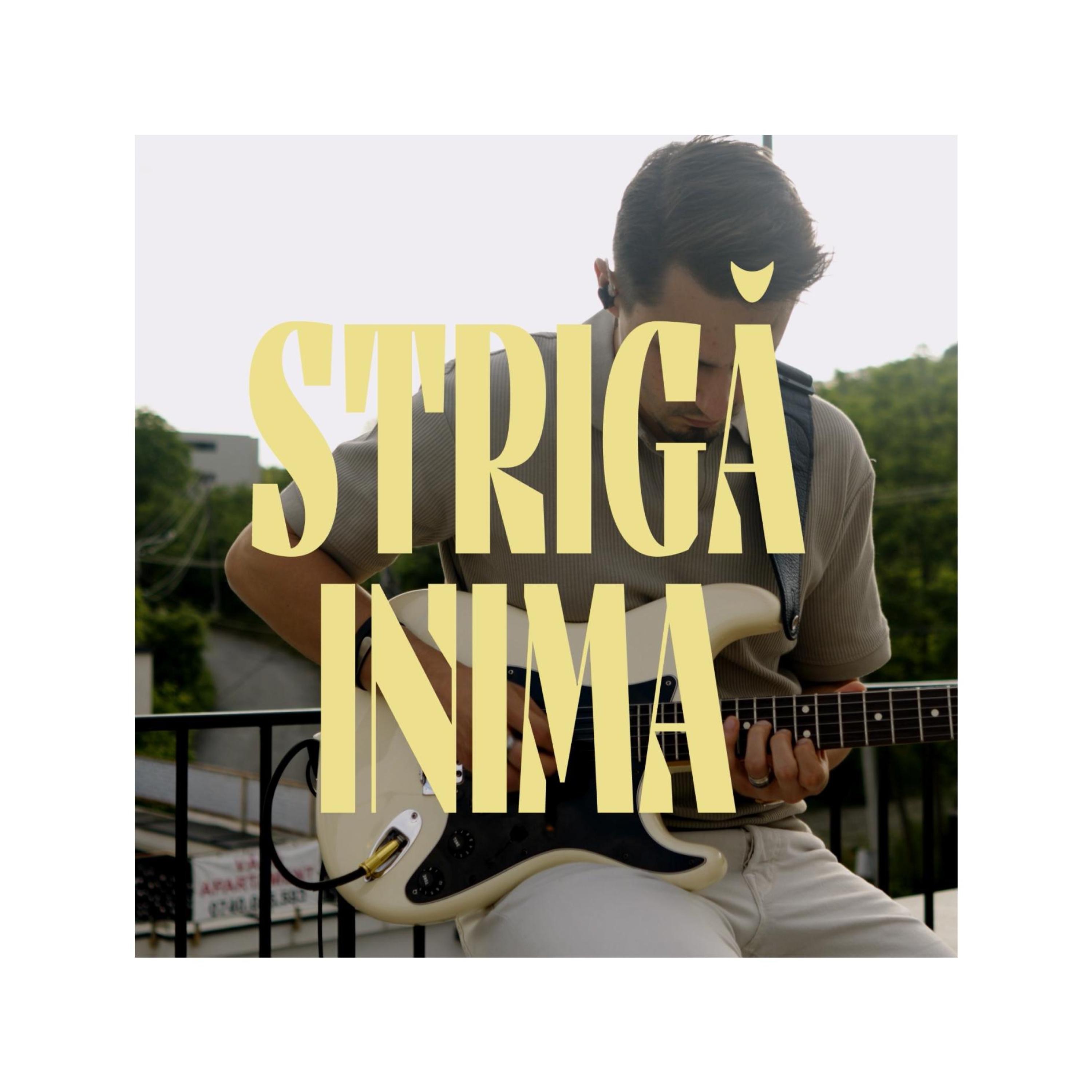 Strigă Inima - Single