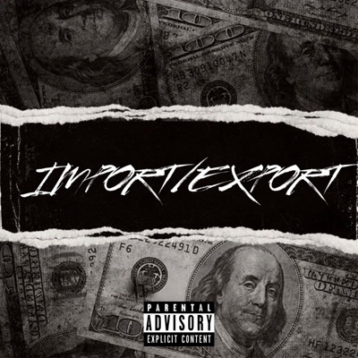 IMPORT/EXPORT (feat. TRF & Blu) - Single