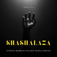 Shashalaza (feat. Strous Mambisa, Gxlden & Fezela Mshini) - Single - Shelela sense