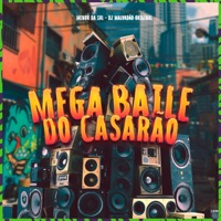 Mega baile do casarão - Single - MENOR DA SUL & Dj Malvadão Original