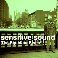 Sensitive Sound - The Equation Beats