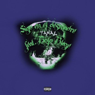 Sigo en el Desmadre (feat. Bofo Blaze) - Single