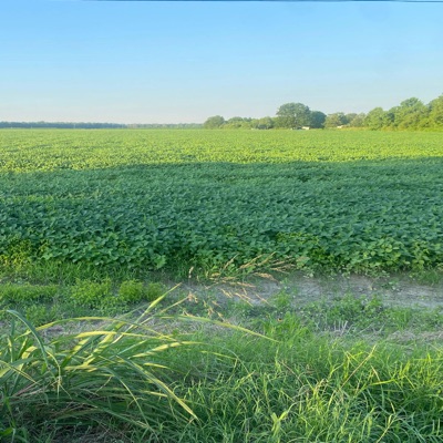 PUBLIC ETIQUITE! - Single