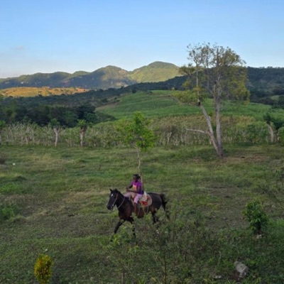 Gana De Volve - Single