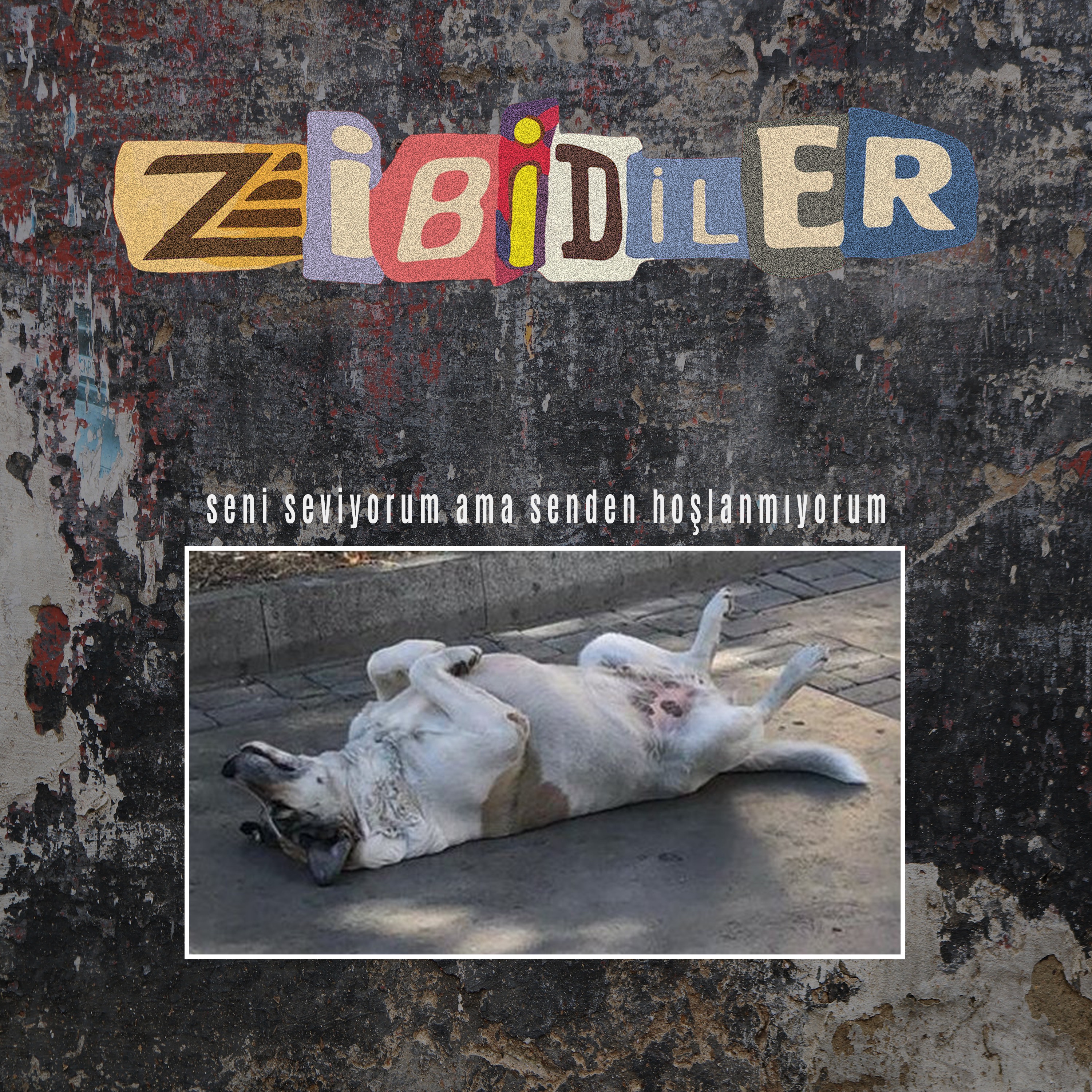 Zibidiler - Hayır Dersen 2025