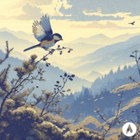 Tesia - Single - Jaben & Lafken