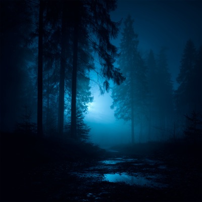 dreams - Single