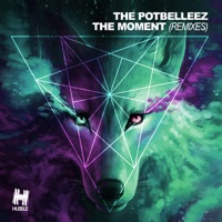 The Moment (Remixes) - EP - The Potbelleez