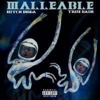 Malleable (feat. True Dash) - Nitch Bigga