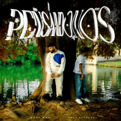 Pensándonos (feat. Doly Flackko) - Single