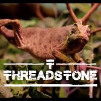 Reptile (feat. Helmut Zerlett) - Single - Threadstone
