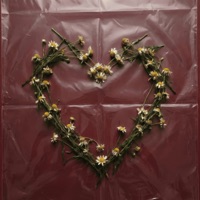 наверно любила (траблы) - Single - Седая Молодость