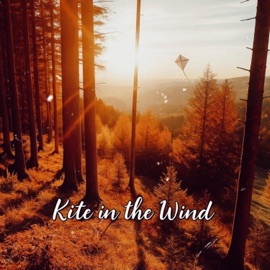 Kite in the Wind Dave D.