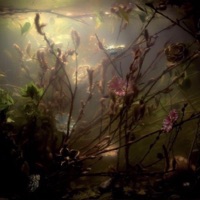 blitzonem - Single - LUVJAAYO