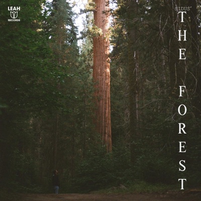 The Forest