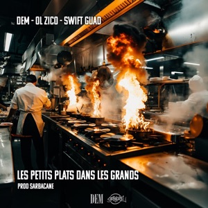 Les petits plats dans les grands (feat. Ol Zico & Swift Guad)