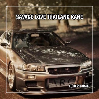 DANZZ MUSIC - SAVAGE LOVE THAILAND KANE
