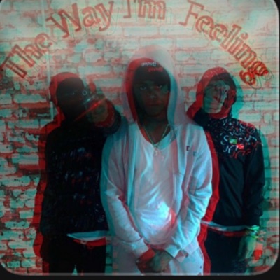 The Way Im Feeling - Single