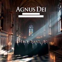 Agnus Dei (feat. Capella Gregoriana Easo, Gregorian Chant & Gregorian Chants) - Monks Of The Abbey Of Notre Dame, Wonderworker, Harpa Dei & The Cathedral Singers