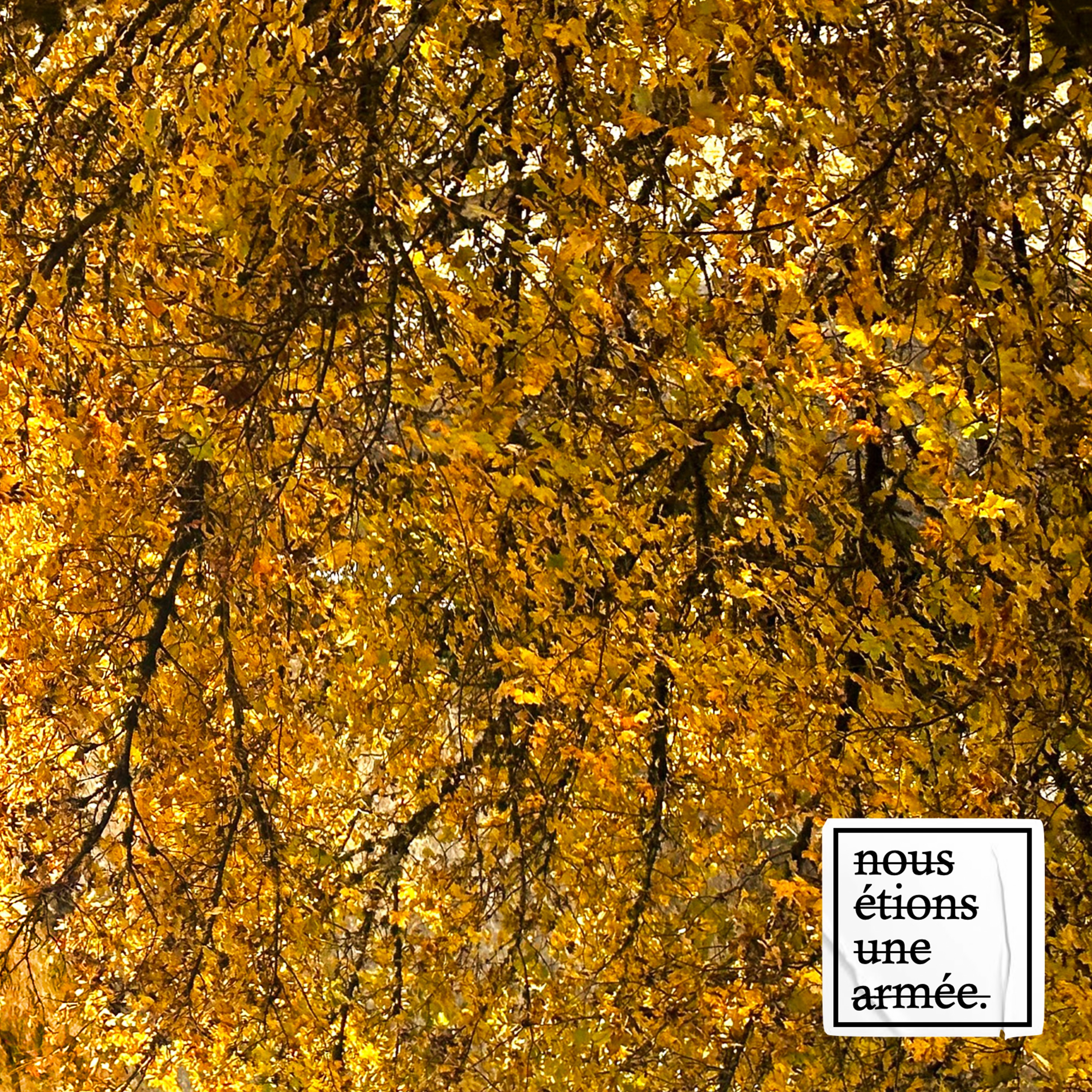 heureux comme un roi - Single