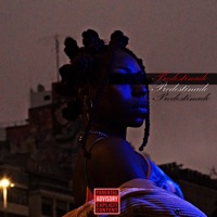 Predestinado - EP - MC Neguin Zs