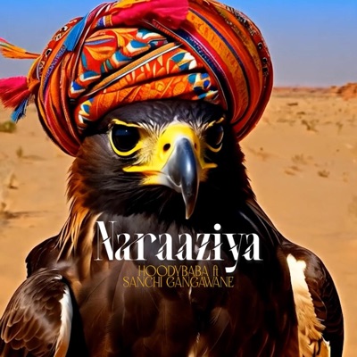 Naraaziya - Single