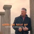 Vorrei che fossi qui