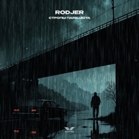 Стропы парашюта - Single - RODJER