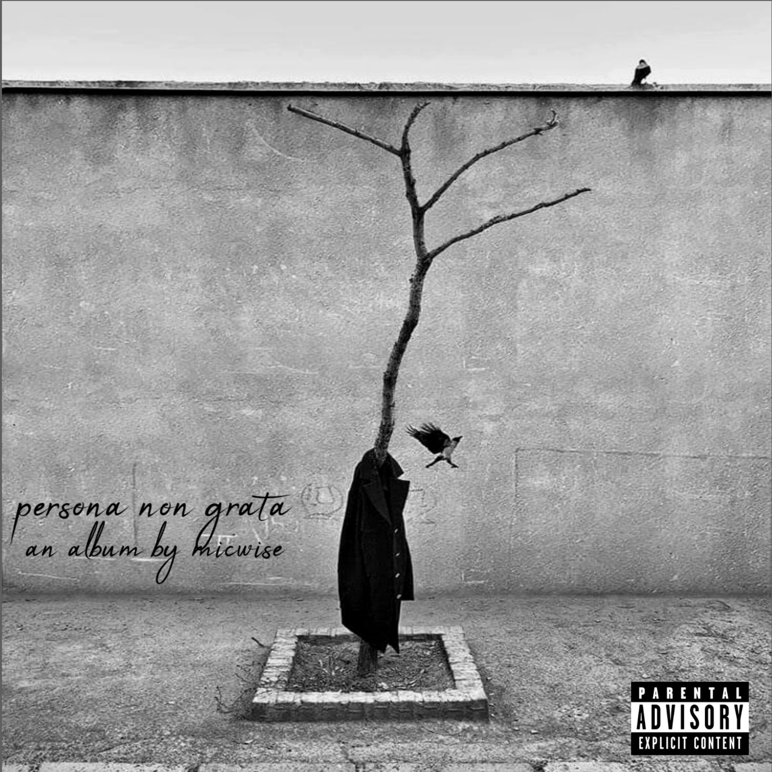 Micwise - Said And Done