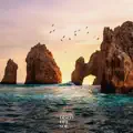 Lightwave