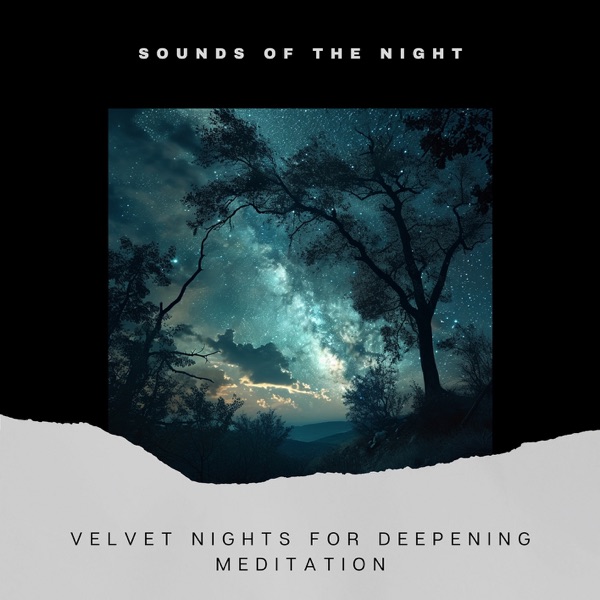 Velvet Nights for Deepening Meditation