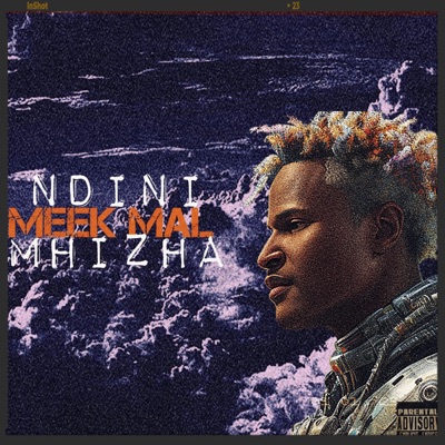 NdiNi Mhizha