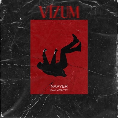 Vízum (feat. VOSKYTT) - Single