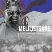 Melilietsane (feat. Ntate Milo & Lee) artwork