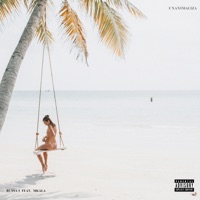 Unanimaliza (feat. Mkala) - Single - Bussa J