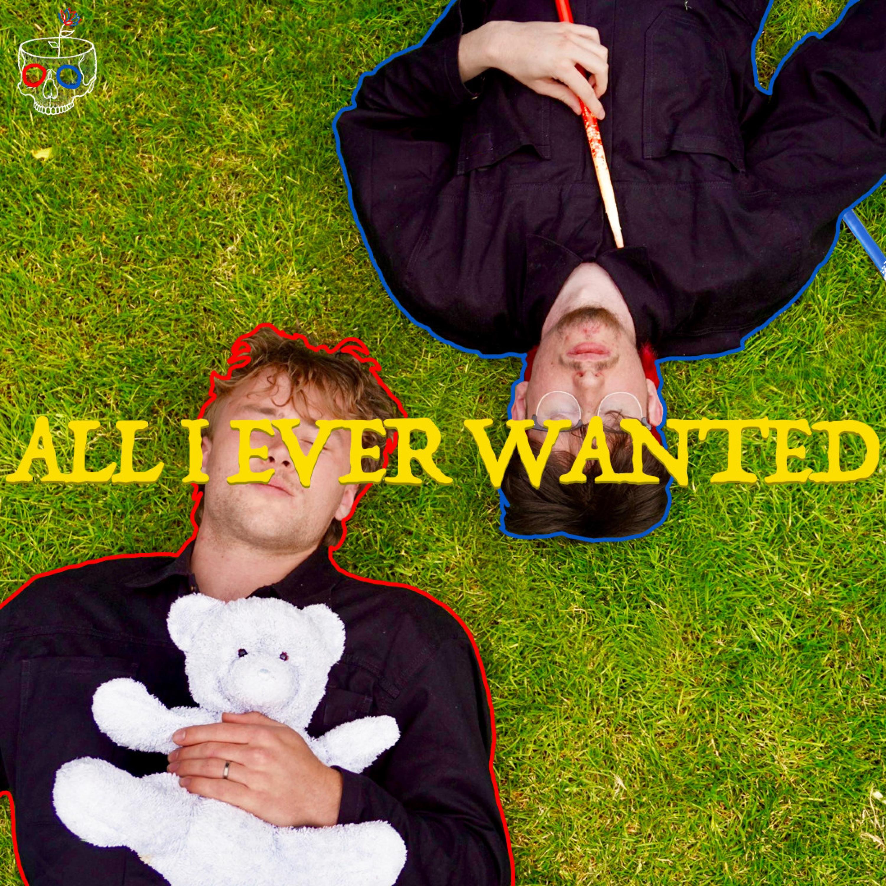 All I Ever Wanted - Single