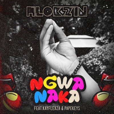 Ngwanaka (feat. Papekeys & KayFlex_Za) - Single